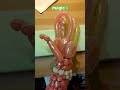 Magic Funny Today2025 ЁЯОБЁЯОБ Magic Trandingshorts ЁЯЧбя ПЁЯлгЁЯе ЁЯОБЁЯОБЁЯТкЁЯдлЁЯШДЁЯШГЁЯШАЁЯШД Magic Funny Today2025 ЁЯОБЁЯОБ Magic Trandingshorts ЁЯЧбя ПЁЯлгЁЯе ЁЯОБЁЯОБЁЯТкЁЯдлЁЯШДЁЯШГЁЯШАЁЯШД
