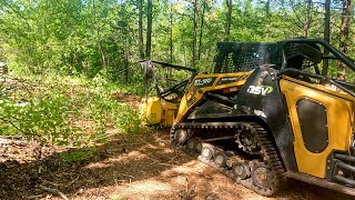 OVERGROWN side yard forestry mulching and handwork