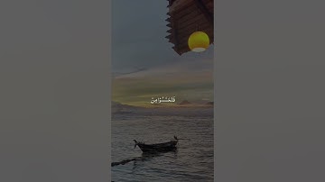 تلاوة خاشعة 🍉🤍🌿 #viral #اكسبلور #المصحف #إسلام #راحة_نفسية