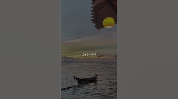 تلاوة خاشعة 🍉🤍🌿 #viral #اكسبلور #المصحف #إسلام #راحة_نفسية