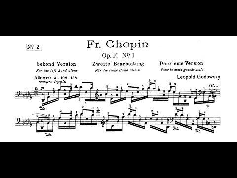 上下巻　GODOWSKY/Chopin Etudes Amazon.co.jp: Godowsky: Complete Studies on Chopin's Etudes