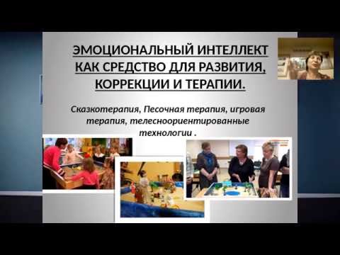 Отрывок вебинара Грабенко Т. М.  по эмоциональному интеллекту