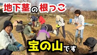 視聴者さんと一緒に新しい畑を０から開墾しました【自然農法】