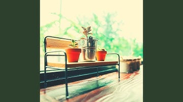 Subtle Ambiance for Java Vibes