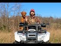 Fox Red Labrador Retriever Training Session Fox Red Labrador Retriever Training Session