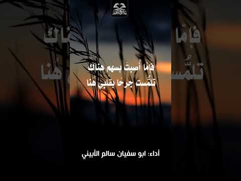 قصيدة بعنوان أخي أنا أنت وأنت أنا للأخ الفاضل أبو سفيان سالم الأبيني