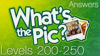 Whats The Pic? Levels 200-250 Answer For Ios