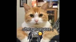 পড়াশোনা ছাড়াই পাশ😂🤣TIKTOK FUNNY VIDEOS