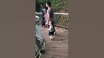 শ হ ব দ দ ন প র ক গ লশ ন Special Moment Shortvideo Viral Foryou Trending 