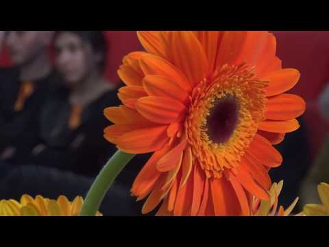 16 დღიანი კამპანია შემაჯამებელი კონფერენციით დასრულდა