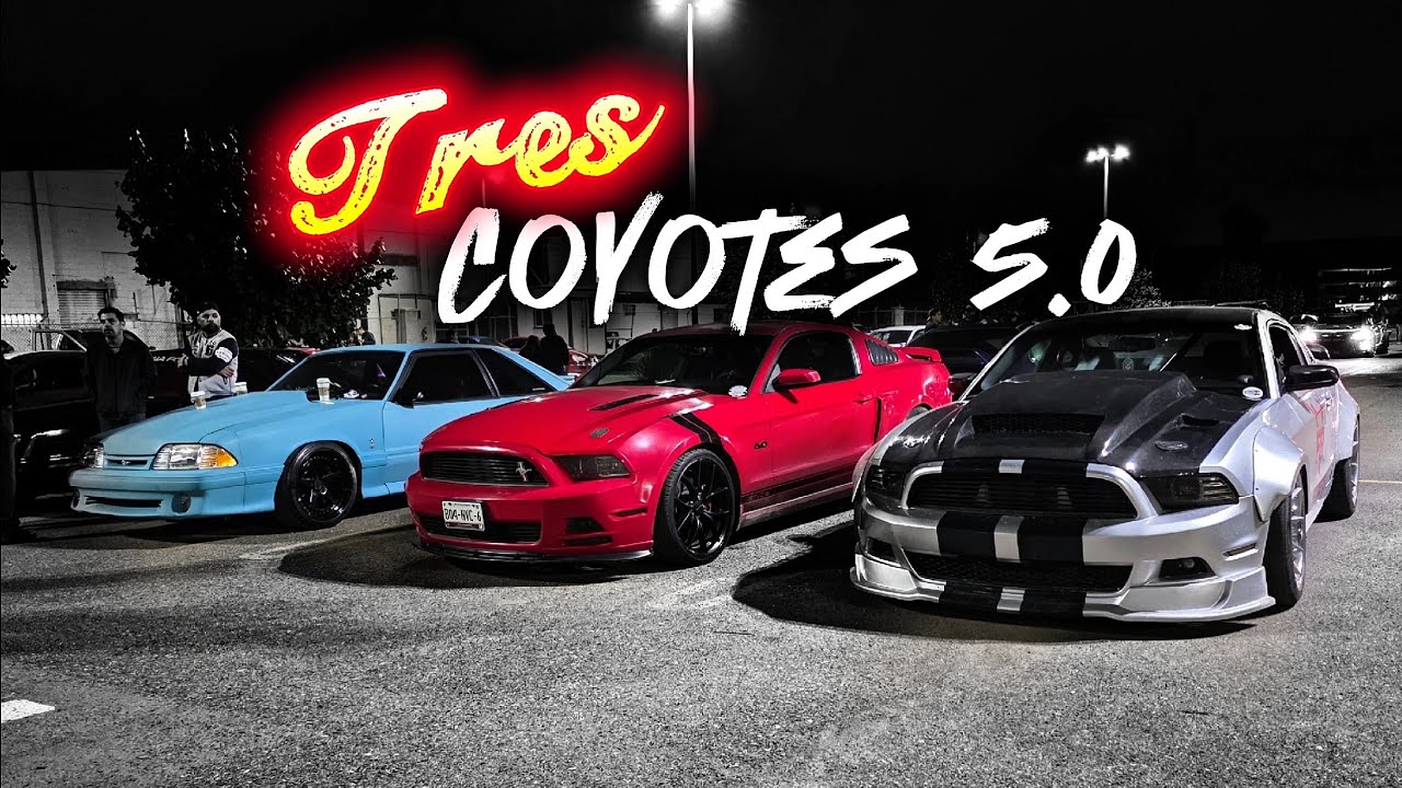 3 Mustangs Coyote 5.0 / Primer Salida del Año 2026 en el Mustang