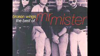 Video thumbnail of "Mr.Mister - Watching the world"