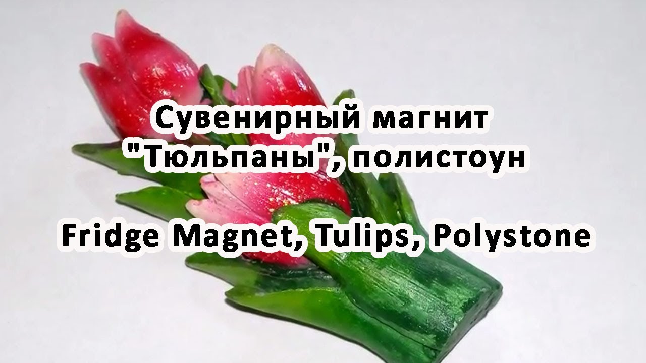 Купить тюльпаны в магните