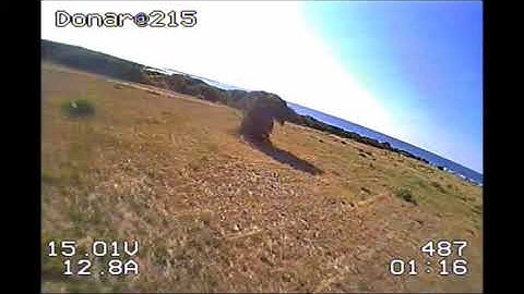 GeniusX215 KISS FC 1.3rc25 - adaptive filter on - first test flight