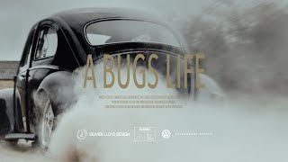 A Bugs Life