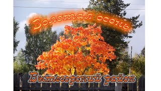 Золотая осень  Вытегорский район