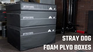 Stray Dog Foam Plyo Boxes