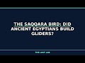 The Saqqara Bird: Did Ancient Egyptians Build Gliders?: Science They Don't Teach You #Shorts