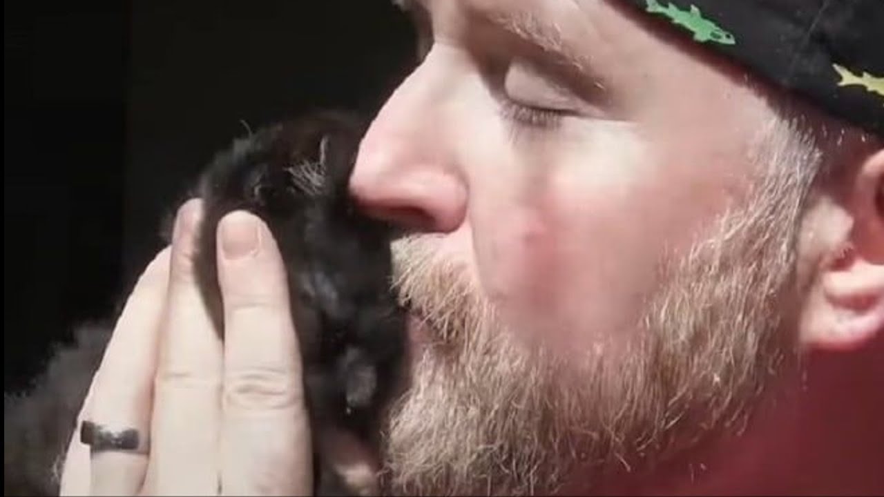 «Только не плакать!» — говорил мужчина котенку, но непослушные слезы ...