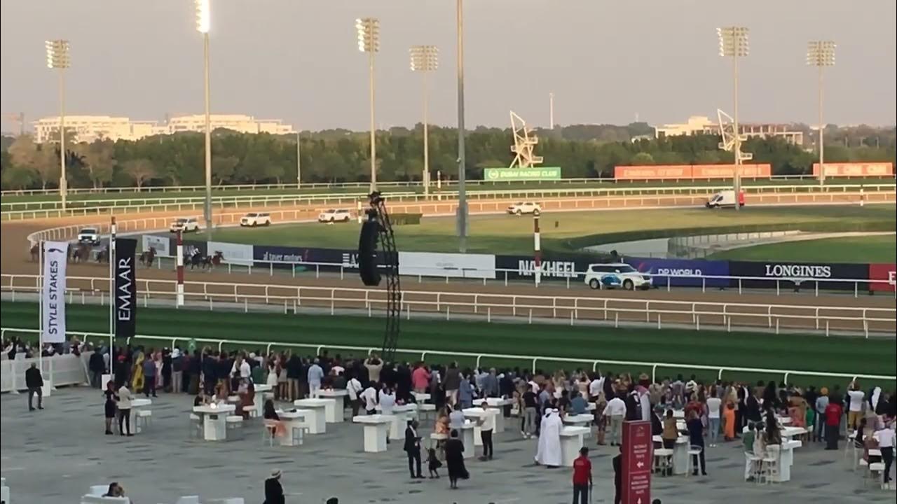 Dubai Horse Race WorldCup 2023 Tour2Dubai YouTube