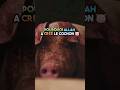 Pourquoi allah a cr le cochon si nous ne pouvons mme pas le manger allah islam cochon fyp