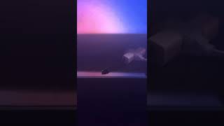 Ariana Grande Feat. Nicki Minaj & Braaten Tom Bailey Side I To Still Side Haven’t Found What I’m Loo