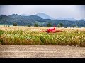 Sunday flyer RC plane flight in ooumdo , Korea