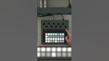 What is a #Scene on #CircuitRhythm?