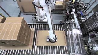 Robotic Case Packer and Palletiser