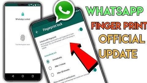 Enable WhatsApp fingerprint Lock for Everyone :Step by step