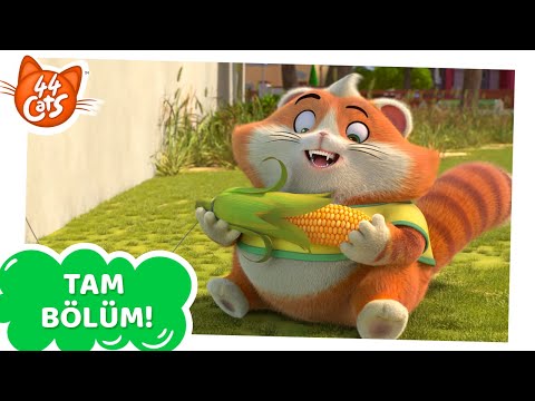 44 Kedi | 4. Bölüm - Kedi Tuzakları [TAM BÖLÜM]