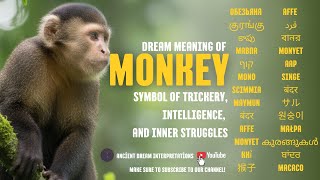 Dream Meaning of Monkey | Symbol of Trickery, Intelligence, and Inner Struggles