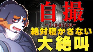 【自撮】超絶ビビリの大絶叫、絶対に寝かせないからな！！！【チラズアート Vtuber 千夜ちよ ゲーム実況】