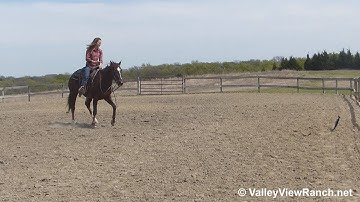 GSR Tap N Cat - working the flag! - ValleyViewRanch.net