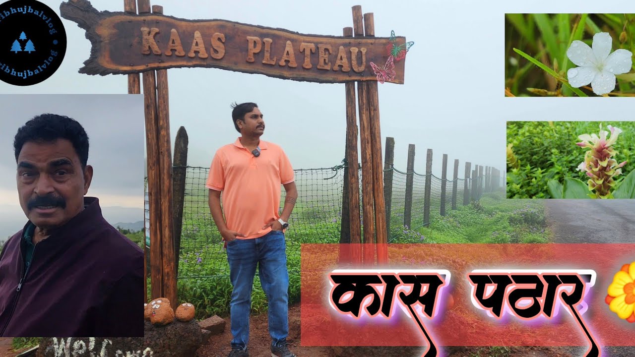 कास पठार | Kaas Pathar | Flower Valley | Kaas plateau | Best place to visit in monsoon | Swarg