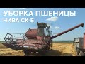 Уборка пшеницы НИВА СК-5