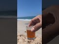 مدينة الداخلة البرية الطبخ و الصيد