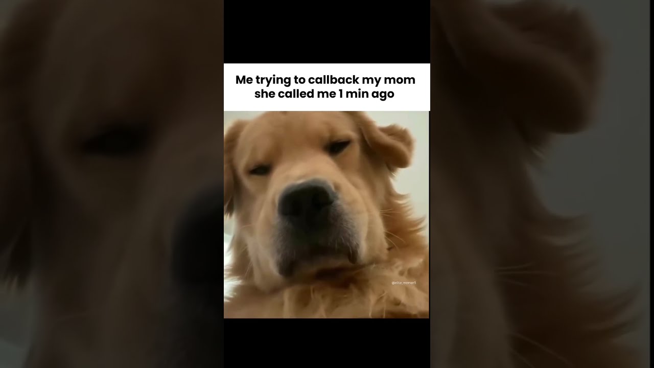Me Trying To Callback My Mom She Called 1 Min Ago