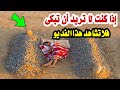 طفل فقد أمه لكن ما رأة من زوجه أبيه لا يصدق أحد _ قصة تقش