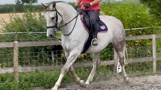 Jack Flatwork