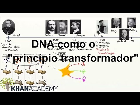 Vídeo: Como Oswald Avery descobriu o DNA?