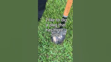 How to Dig a Plug #metaldetecting #grass #dirt #minelabequinox
