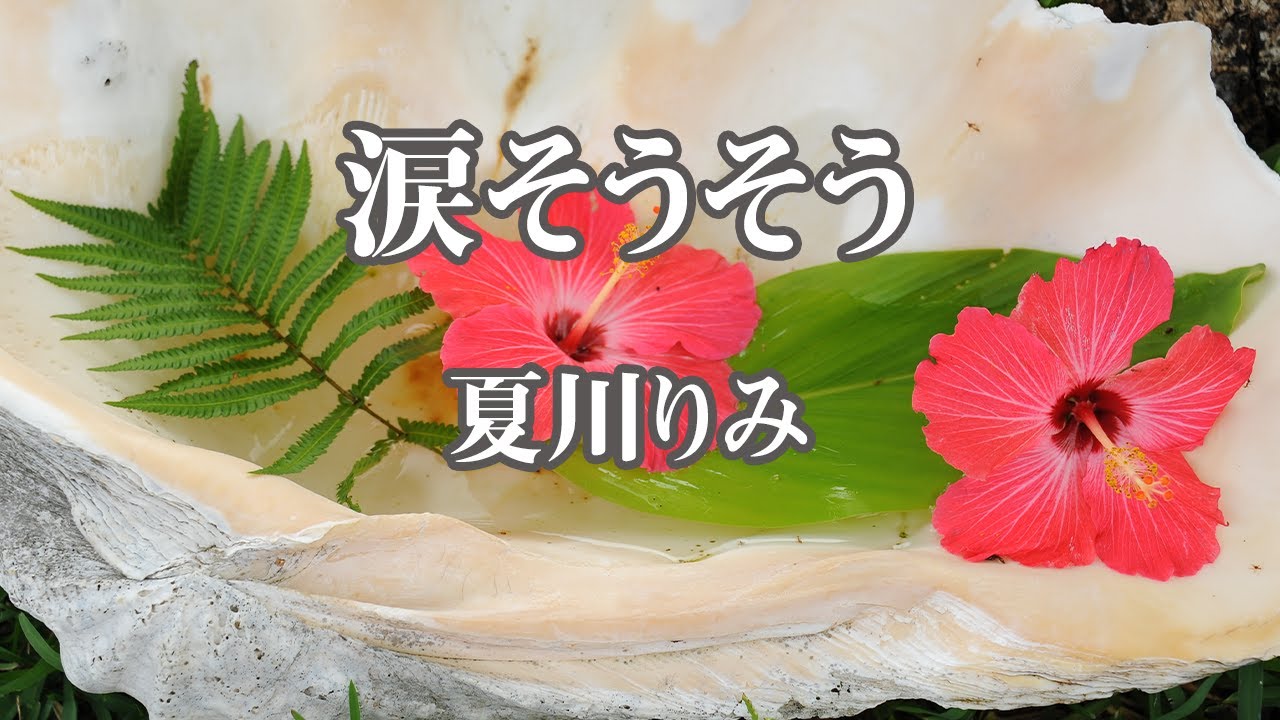 【カラオケ】涙そうそう - 夏川りみ【オフボーカル】