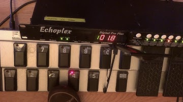 Rehearse (and Zero Feedback) on the Echoplex Digital Pro