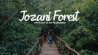 Top Place To See In Zanzibar || JOZANI FOREST ??
