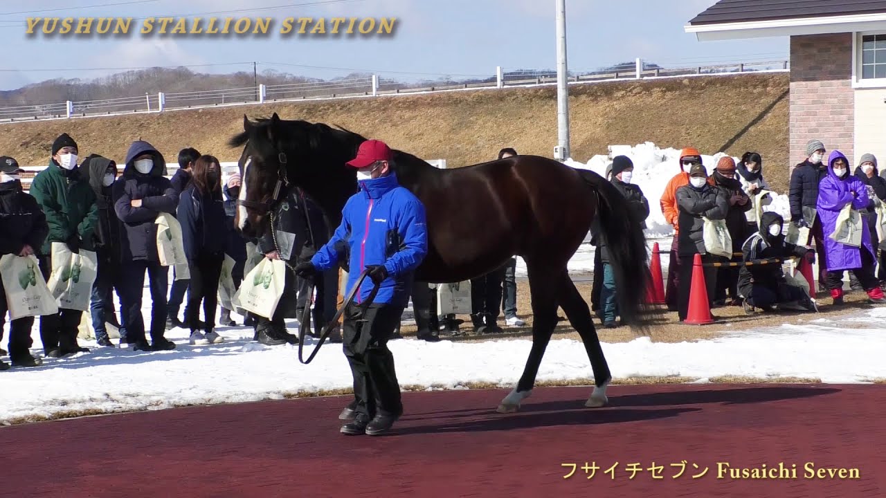 フサイチセブン(Fusaichi Seven) - 優駿スタリオンステーション種牡馬
