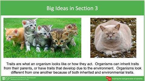 mySci 6 0 Unit 14 Unit Overview