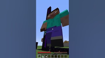 nether portals with different RANKS are CURSED in Minecraft #shorts #Meme #memes