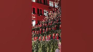 Singing Christmas Tree🎄 Must Visit Zurich Switzerland #merrychristmas #2024 #kids #singing #festival