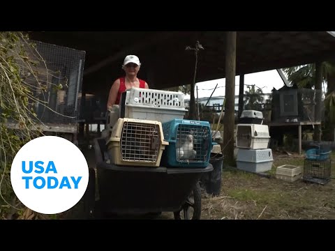 Zookeepers, Humane Society rescue animals following Hurricane Ian | USA TODAY